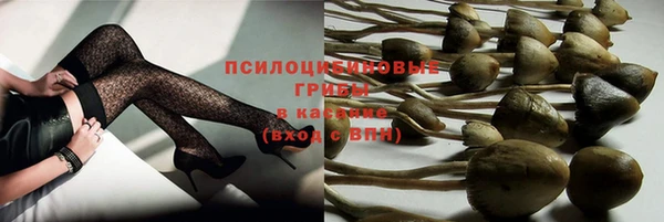 mix Абаза