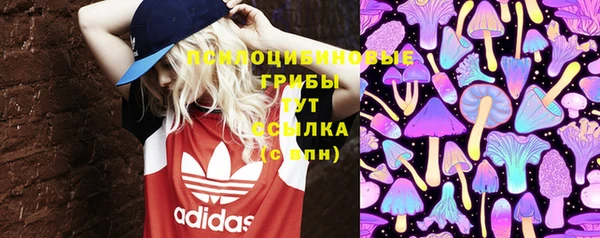 mix Абаза