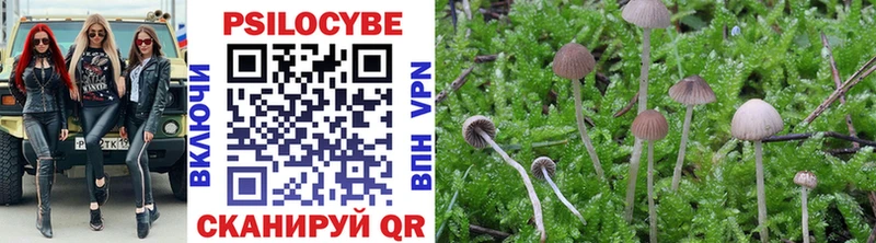 Псилоцибиновые грибы MAGIC MUSHROOMS  где купить наркотик  Южа 